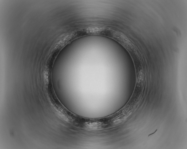 X0000112370452200908271322