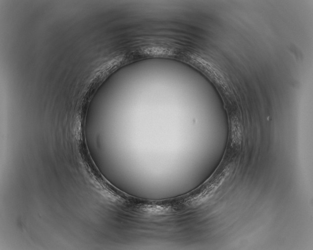 X0000112370453200908271322