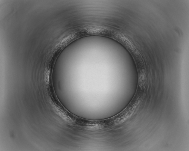 X0000112370454200908271322