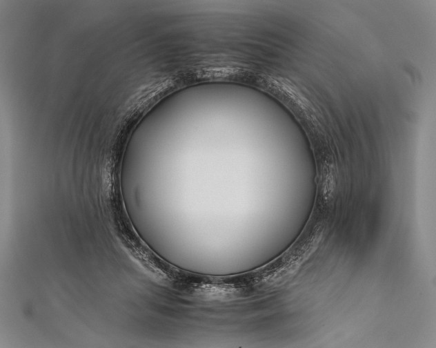 X0000112370455200908271322