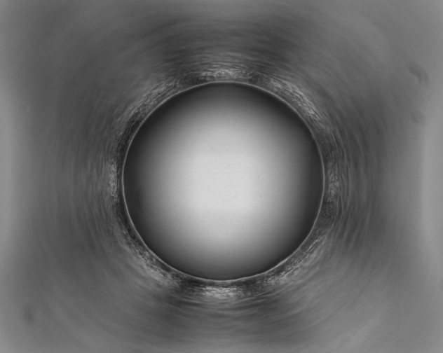 X0000112370457200908271322