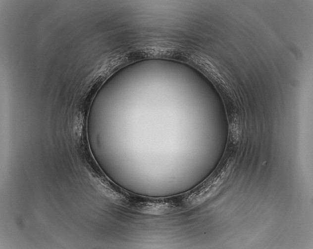 X0000112370458200908271322