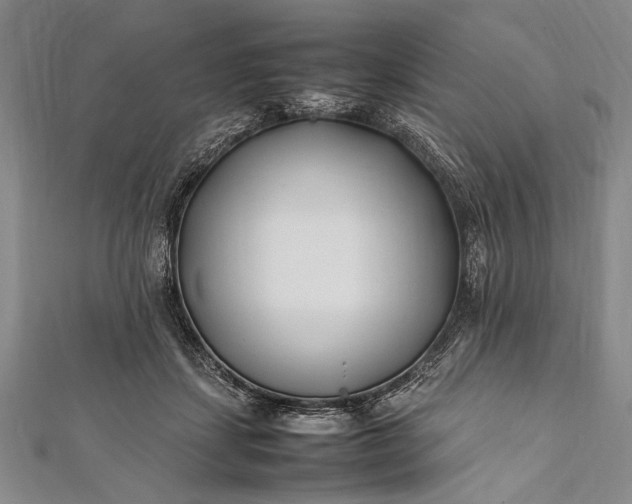 X0000112370459200908271322