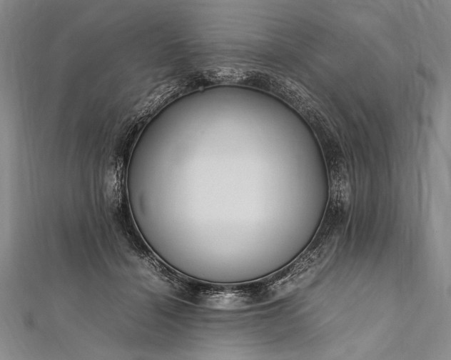 X0000112370460200908271322