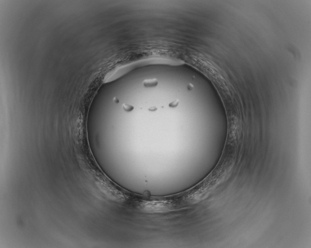 X0000112370461200908271322