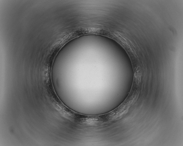 X0000112370462200908271322