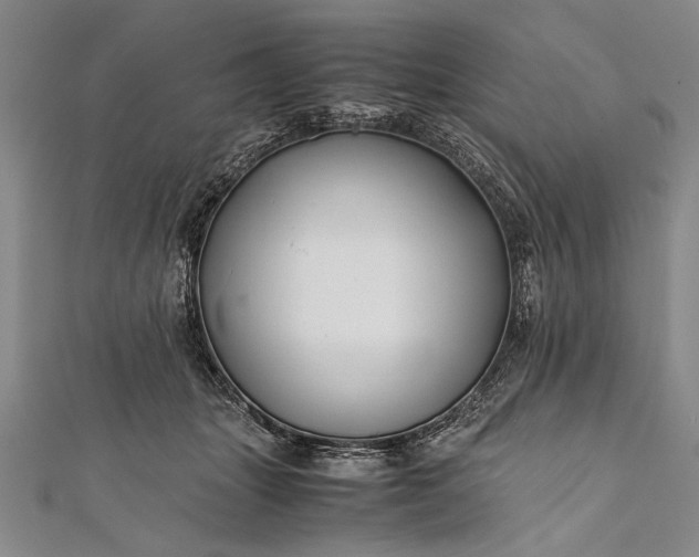 X0000112370463200908271322