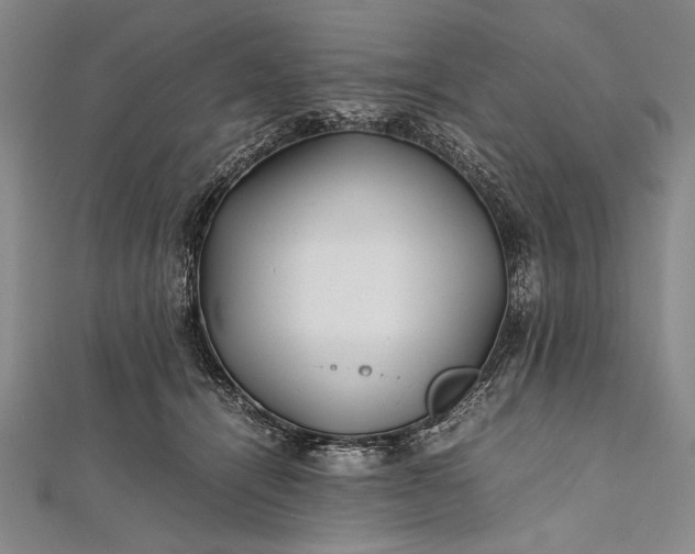 X0000112370464200908271322