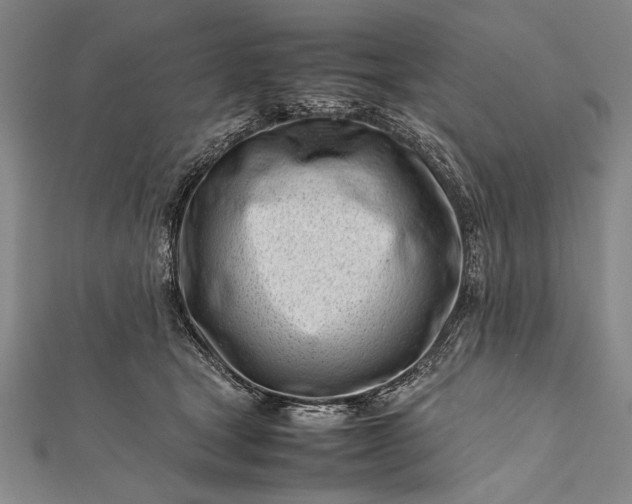 X0000112370465200908271322