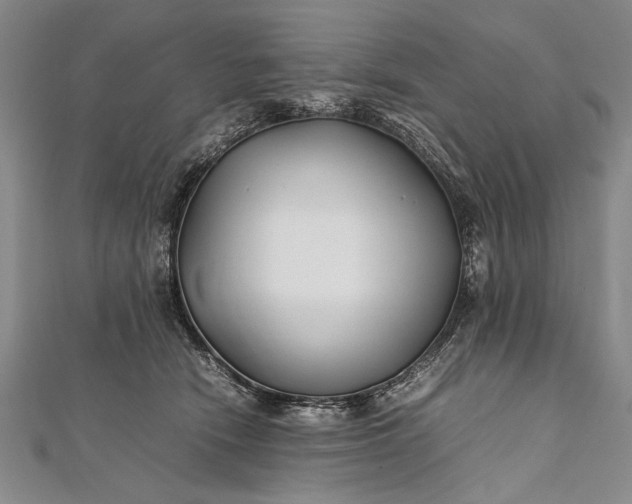 X0000112370466200908271322