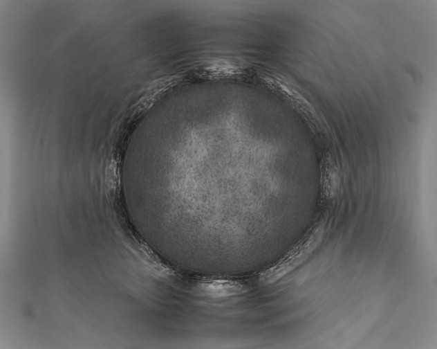 X0000112370467200908271322