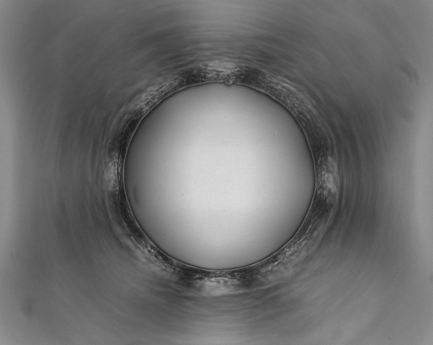 X0000112370468200908271322