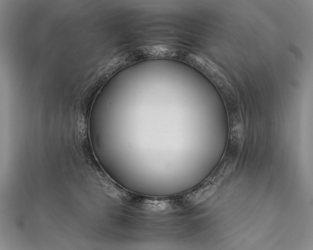 X0000112370469200908271322