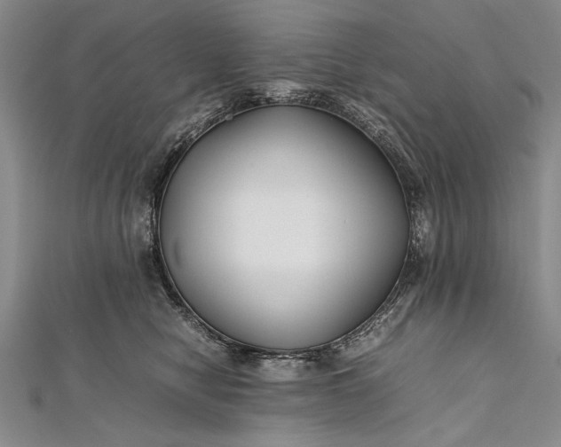 X0000112370470200908271322