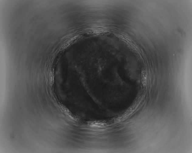 X0000112370471200908271322