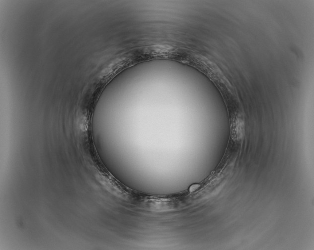 X0000112370472200908271322