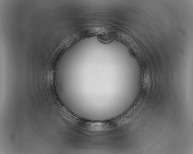 X0000112370473200908271322