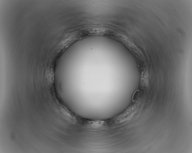 X0000112370474200908271322