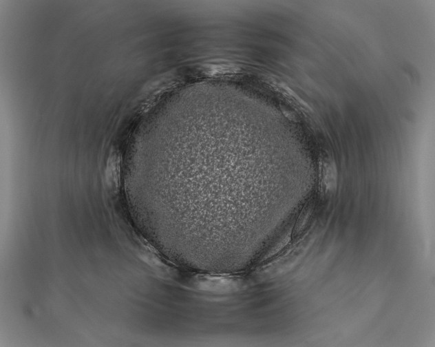 X0000112370475200908271322