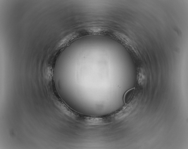 X0000112370476200908271322