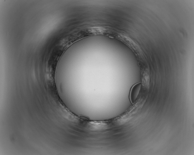 X0000112370477200908271322