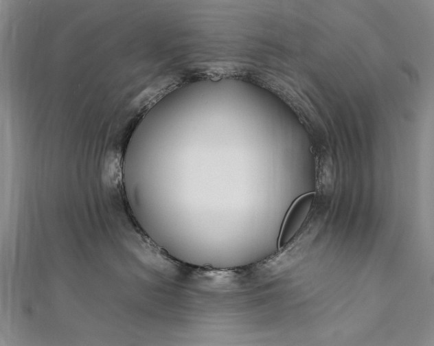 X0000112370478200908271322