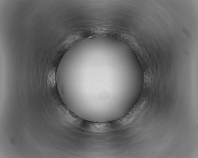 X0000112370479200908271322