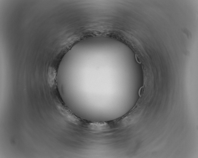 X0000112370480200908271322