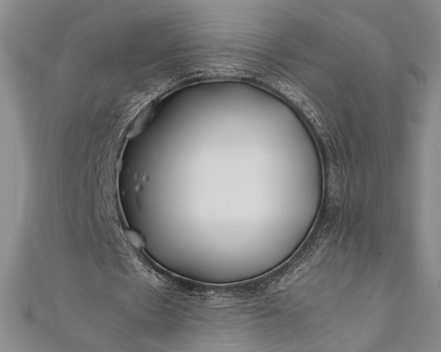 X0000112370481200908271322