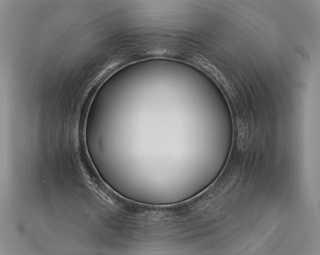 X0000112370482200908271322