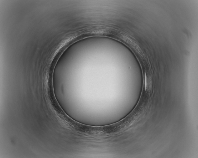 X0000112370483200908271322