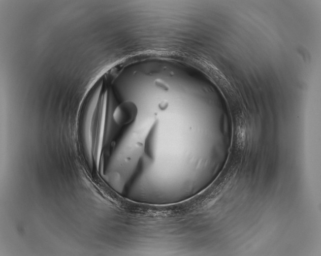 X0000112370484200908271322