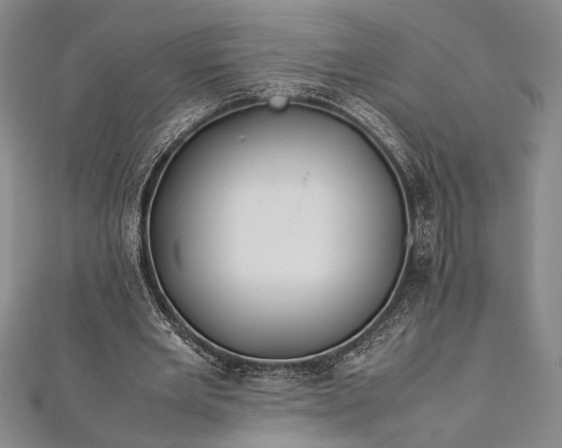 X0000112370485200908271322