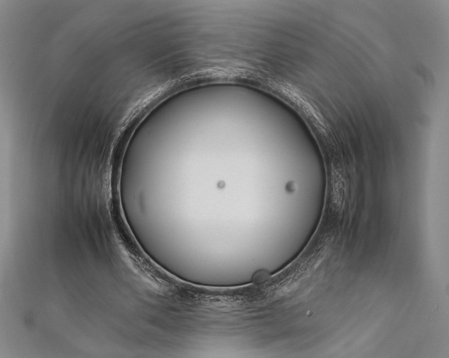 X0000112370486200908271322