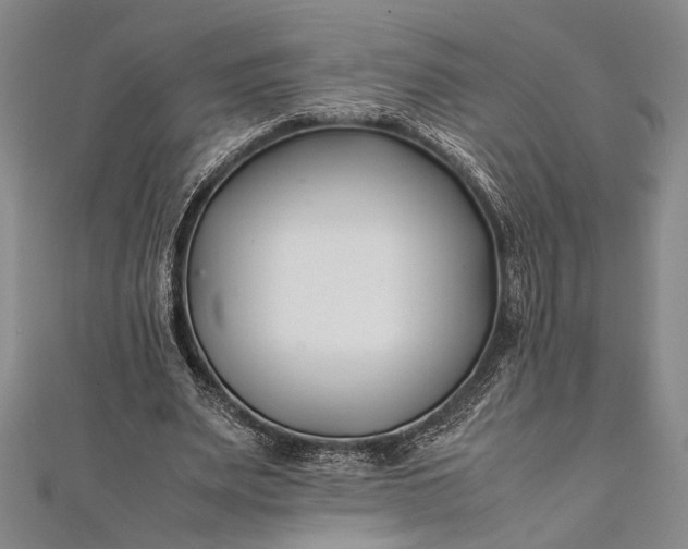 X0000112370487200908271322