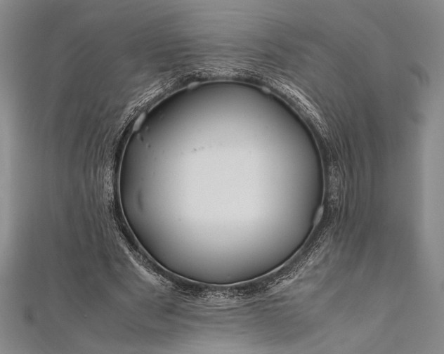 X0000112370489200908271321