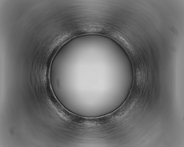 X0000112370490200908271321