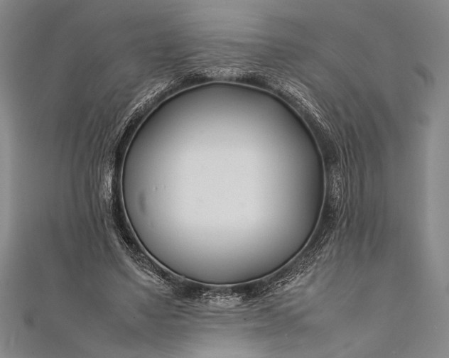 X0000112370491200908271321