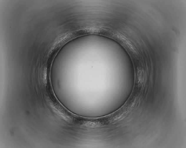 X0000112370494200908271321