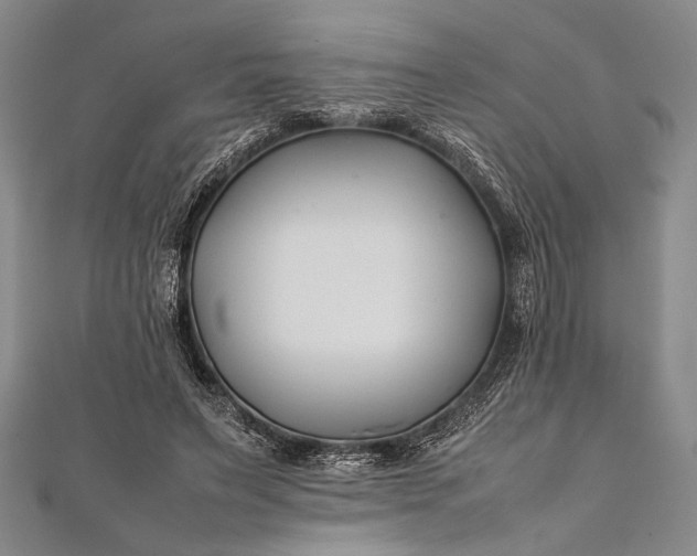 X0000112370495200908271321