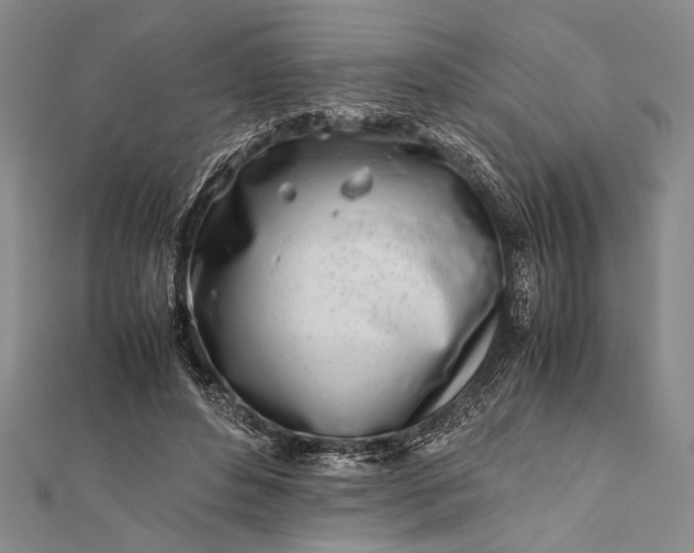 X0000112370496200908271321