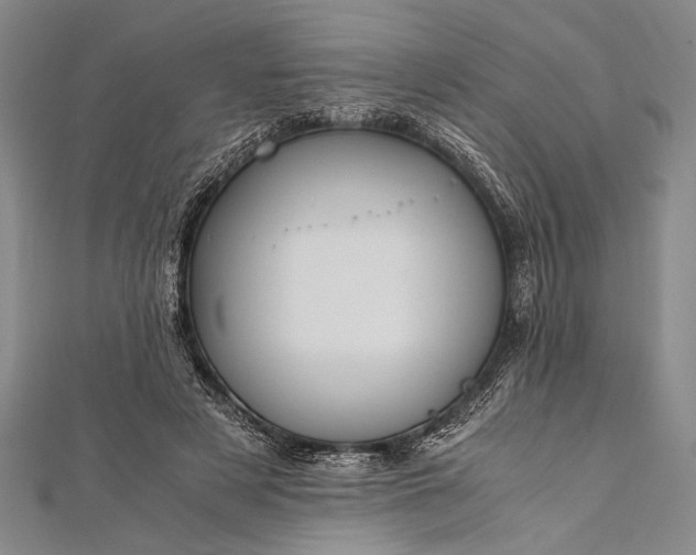 X0000112370497200908271321