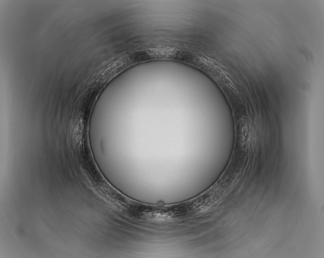 X0000112370498200908271321