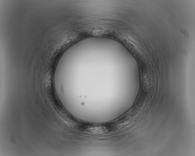 X0000112370499200908271321