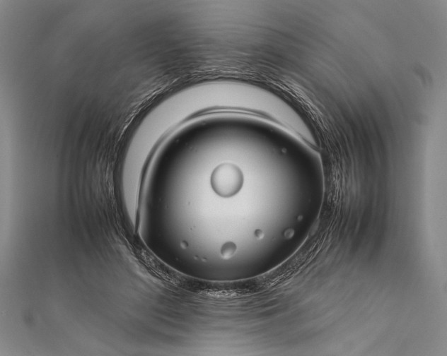 X0000112370500200908271321