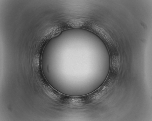 X0000112370501200908271321