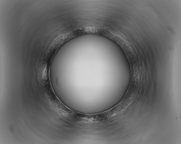 X0000112370502200908271321