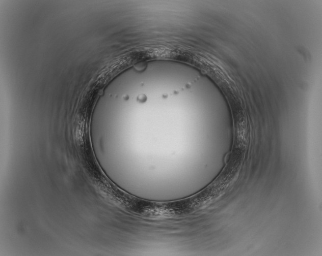 X0000112370503200908271321