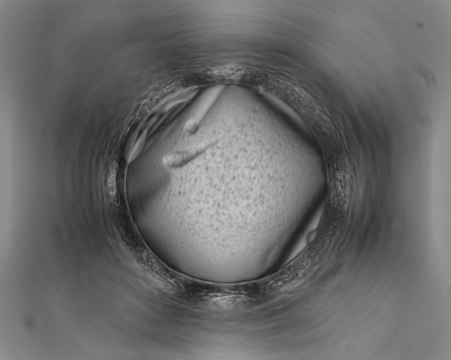 X0000112370504200908271321