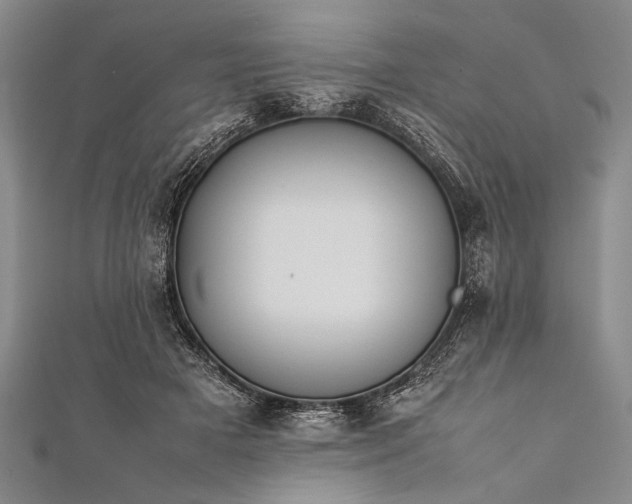 X0000112370505200908271321